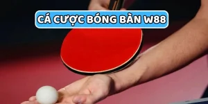 Cá Cược Bóng Bàn Cách Đọc Kèo Chính Xác Cập Nhật 2025