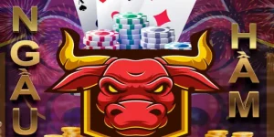 Cách Chơi Bài Ngầu Hầm - Hướng Dẫn Cho Người Mới 2025